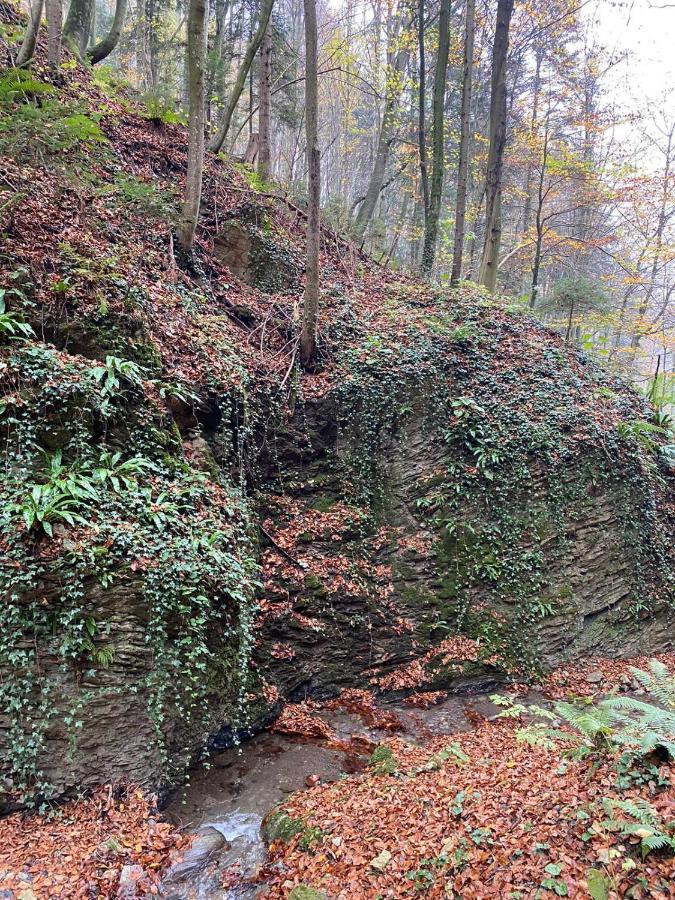 Gaestehaus Schmid Sankt Johann im Saggautal ภายนอก รูปภาพ