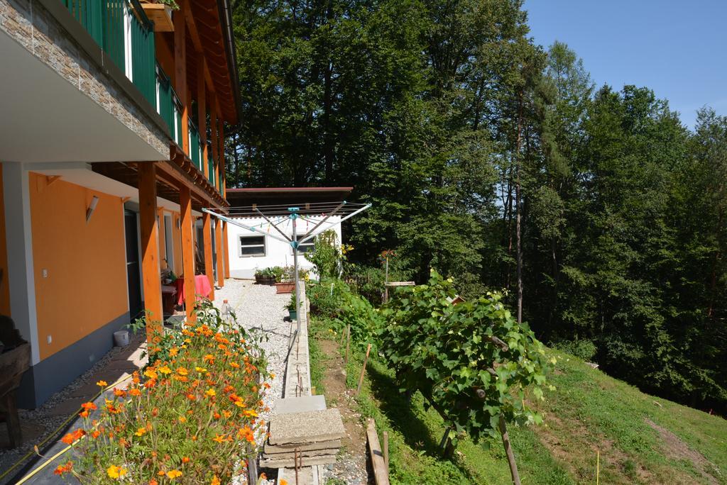 Gaestehaus Schmid Sankt Johann im Saggautal ภายนอก รูปภาพ