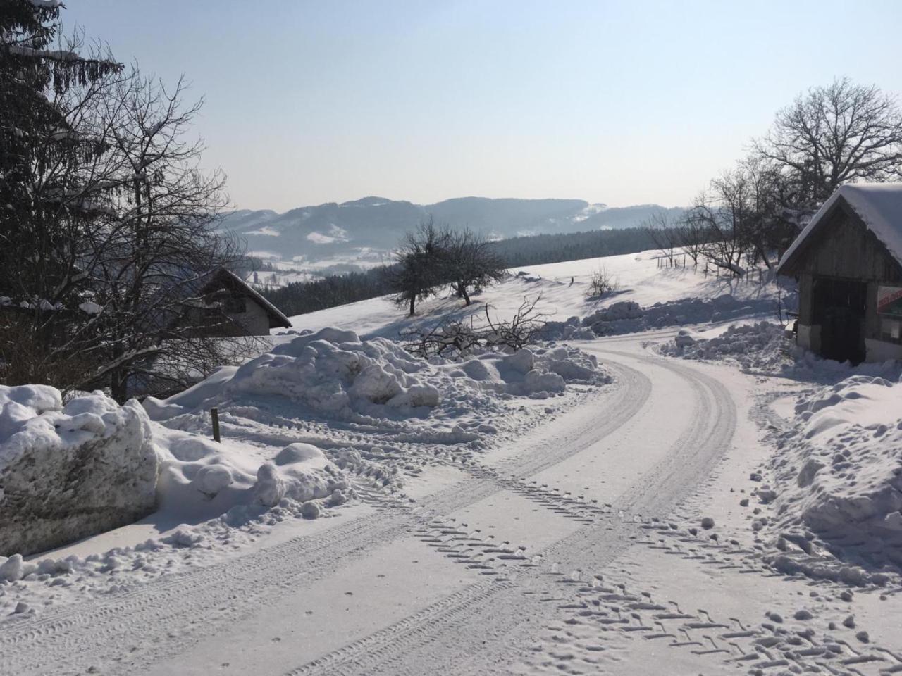 Gaestehaus Schmid Sankt Johann im Saggautal ภายนอก รูปภาพ